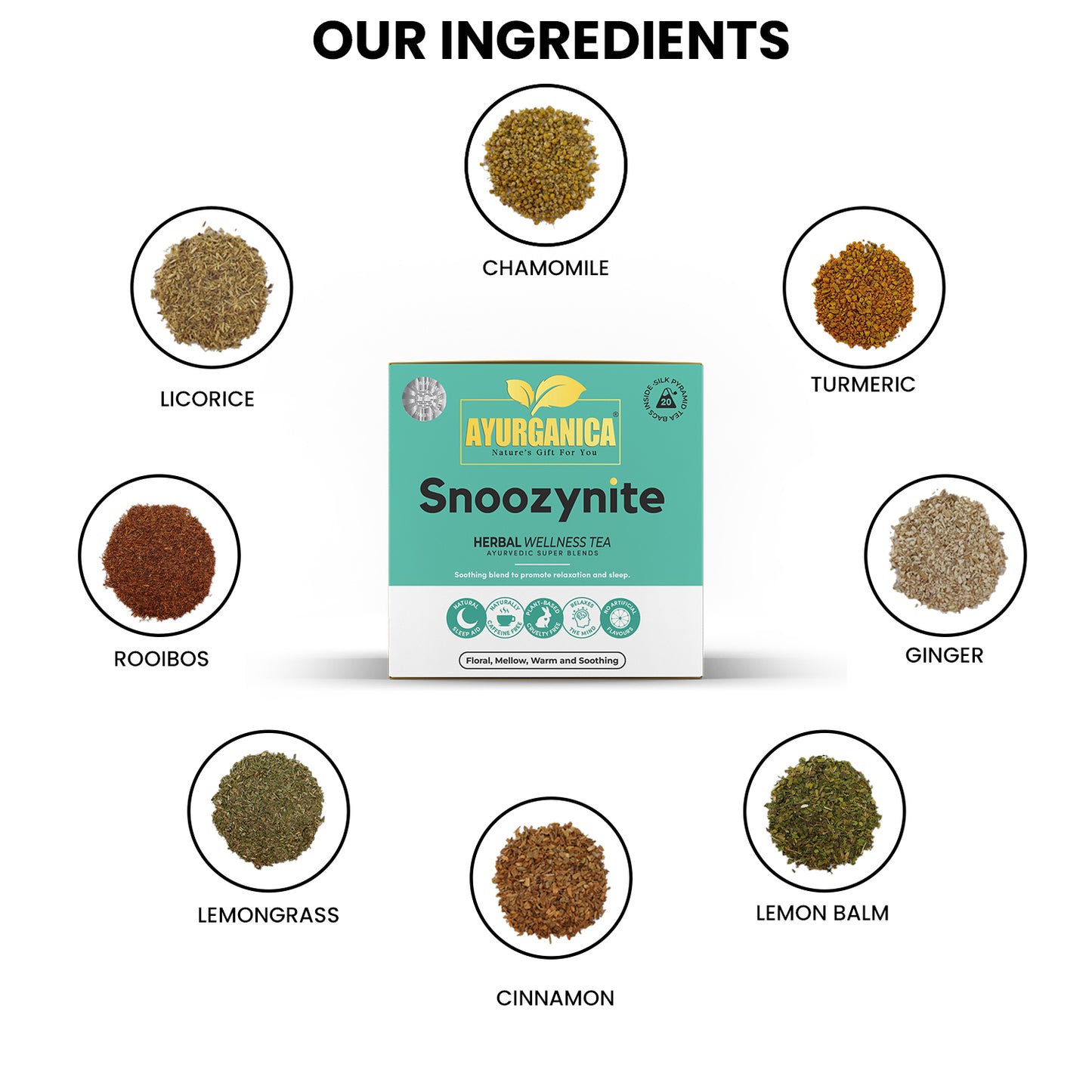 Snoozynite (Lunching Soon)