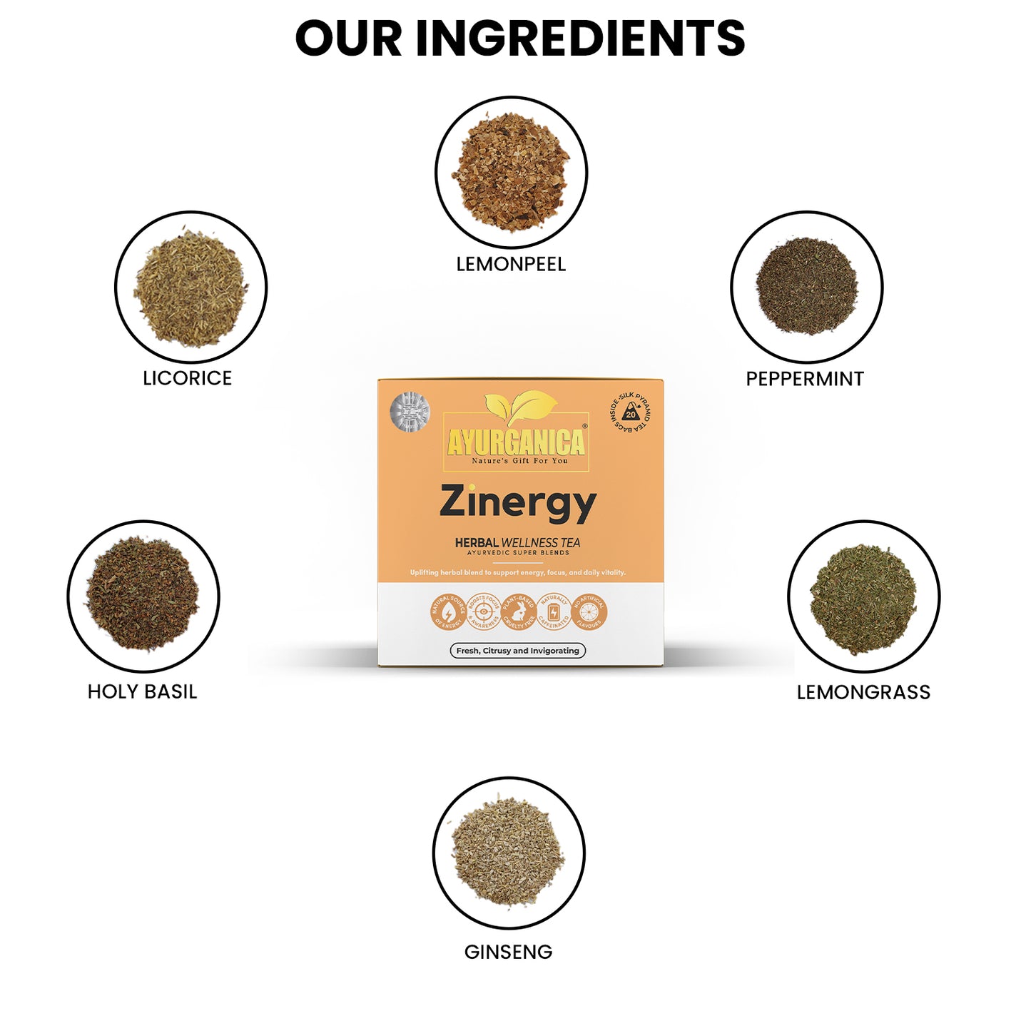 Zinergy (Launching Soon)